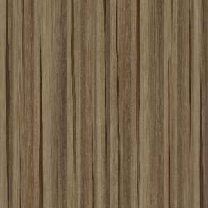 2510-Mandible Pattern